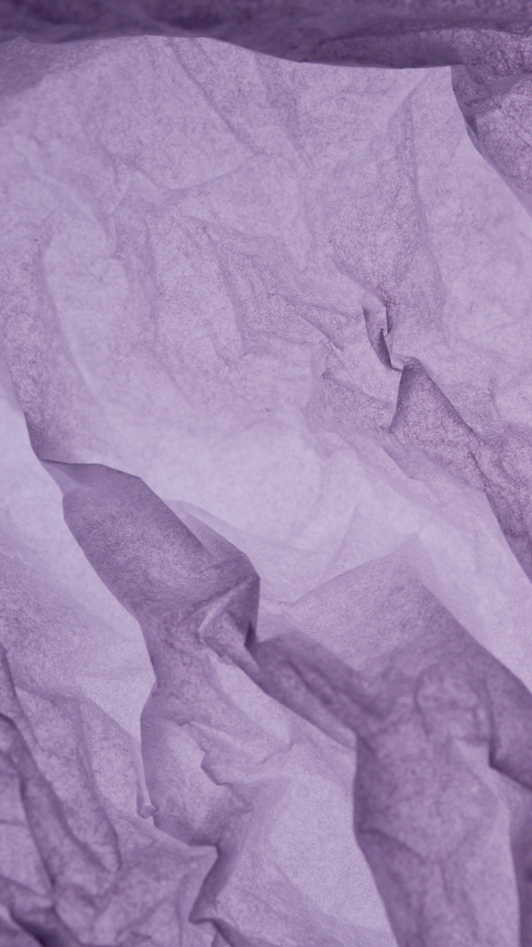 Photograph of Purple Crumpled Paper